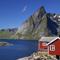 Nachfrage an Norwegens Immobilienmarkt sinkt